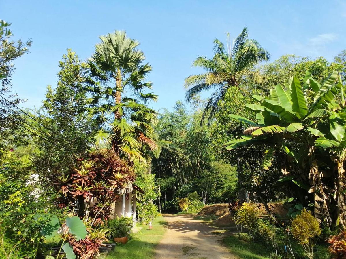 苏安班邦住宿加早餐旅馆 Plai Phraya 外观 照片