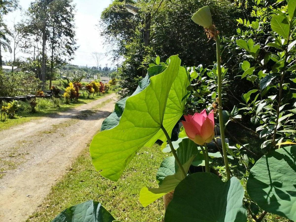 苏安班邦住宿加早餐旅馆 Plai Phraya 外观 照片