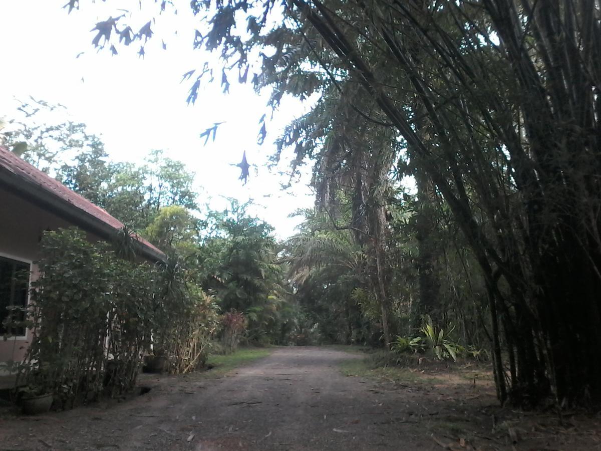 苏安班邦住宿加早餐旅馆 Plai Phraya 外观 照片