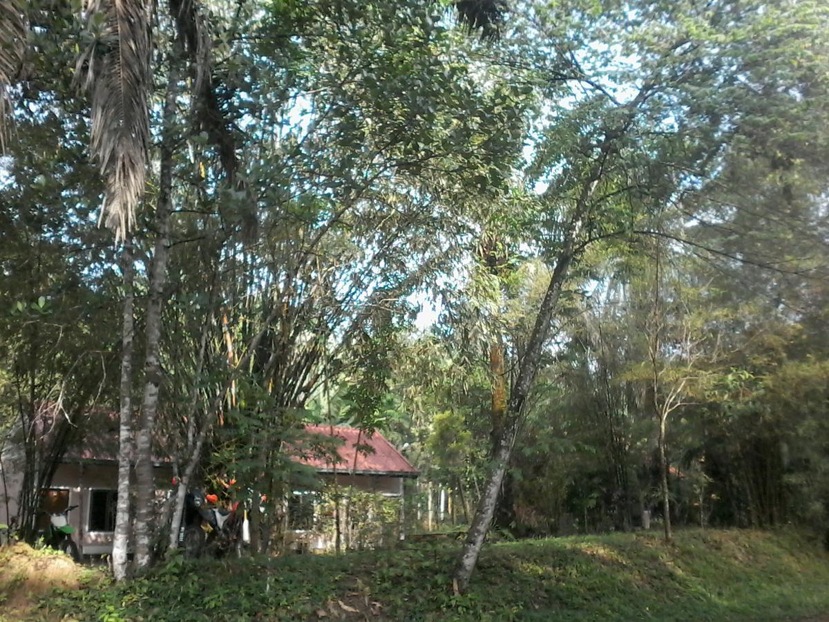 苏安班邦住宿加早餐旅馆 Plai Phraya 外观 照片