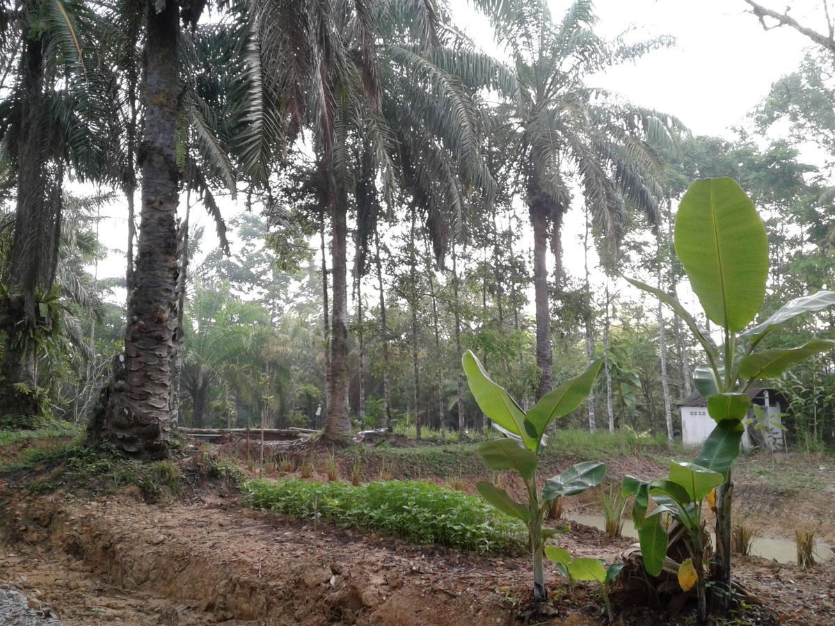 苏安班邦住宿加早餐旅馆 Plai Phraya 外观 照片
